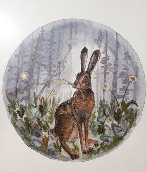 Rabbit in woods as an illustration