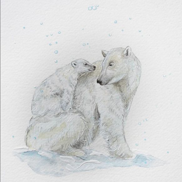 illustrations of polar bears